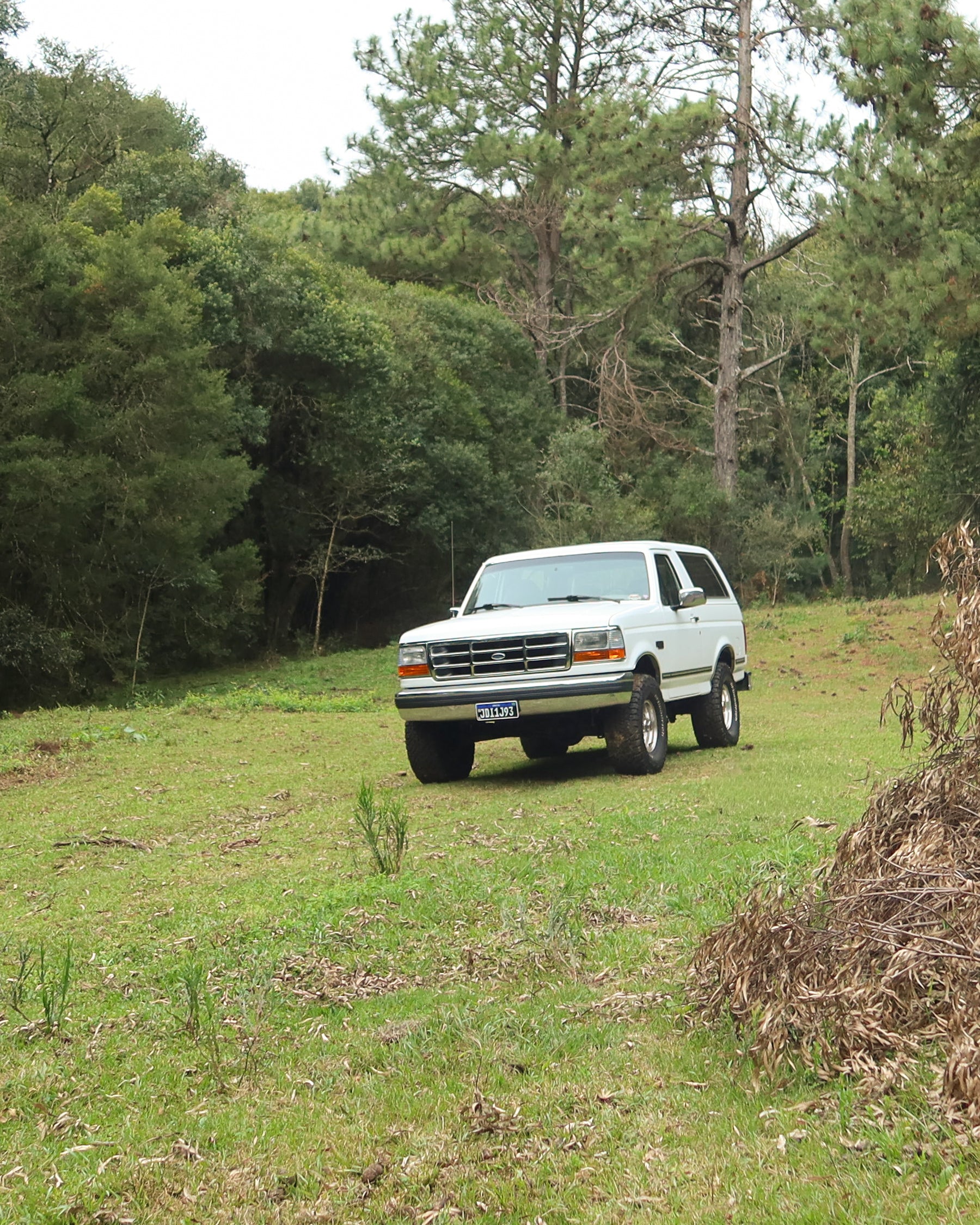Ford Bronco XLT 1993