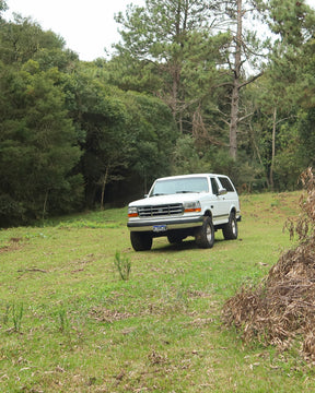 Ford Bronco XLT 1993