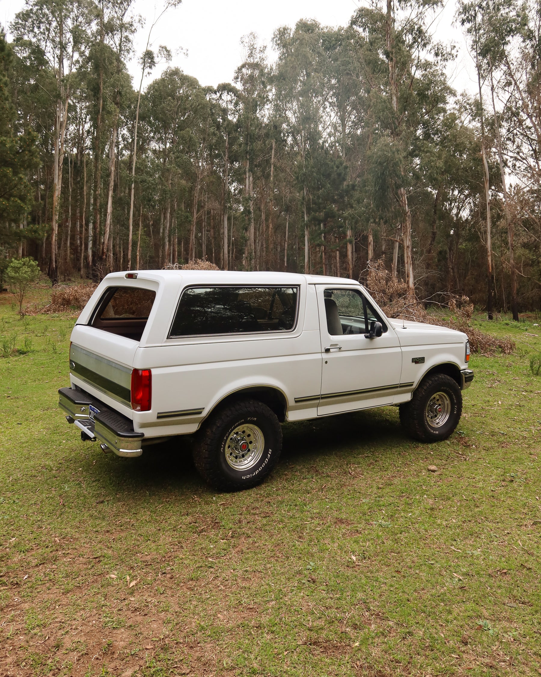 Ford Bronco XLT 1993