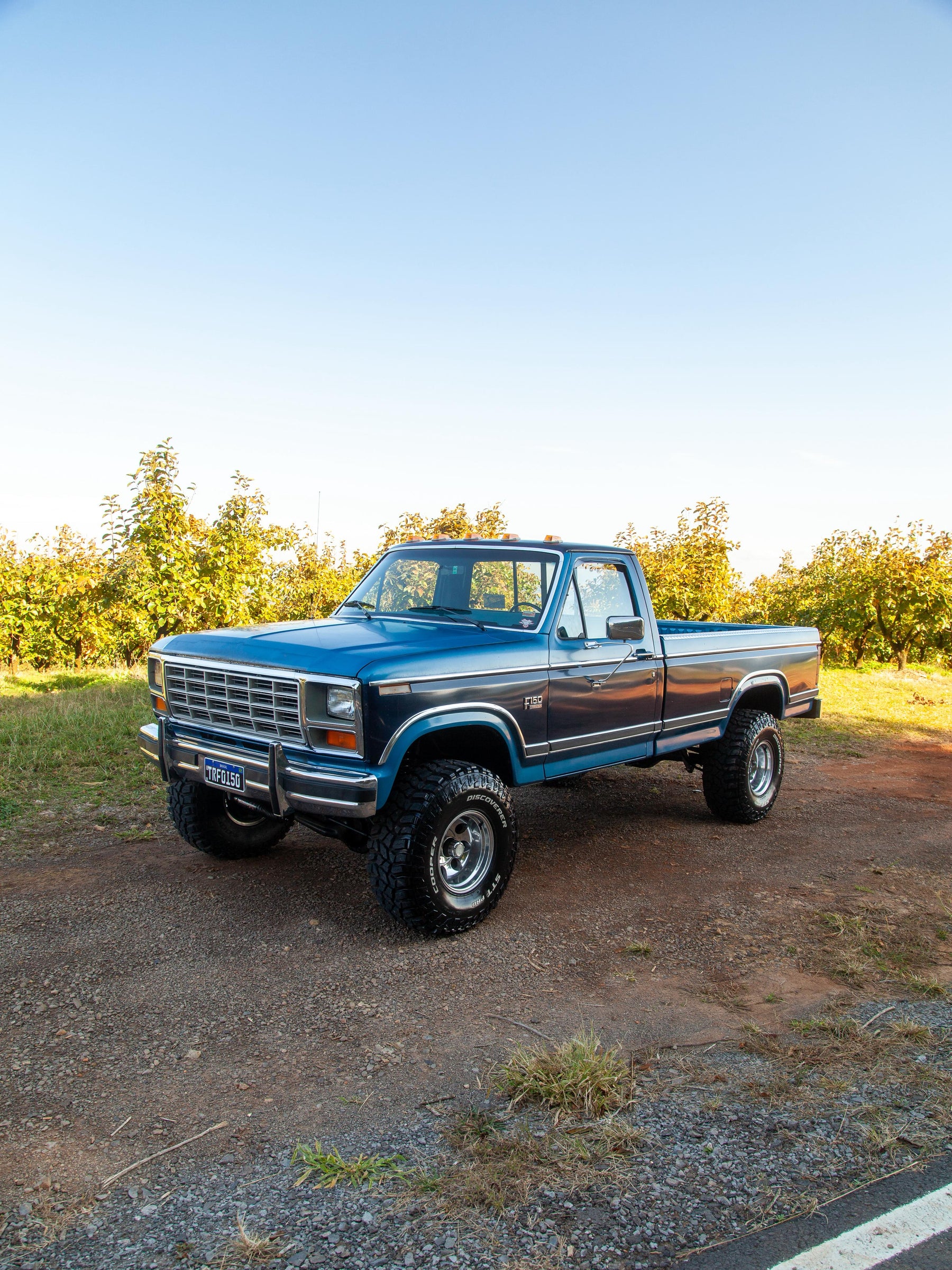 Ford F-150 Bullnose XLT 1984